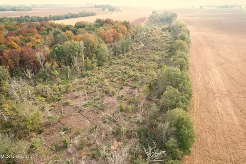 Drew Ruleville Road, Ruleville, MS 38771 photo 7