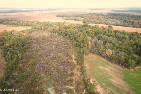 Drew Ruleville Road, Ruleville, MS 38771 photo 11