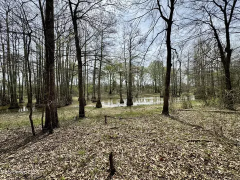 Drew Ruleville Road, Ruleville, MS 38771 photo 18