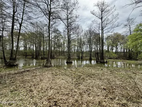 Drew Ruleville Road, Ruleville, MS 38771 photo 7