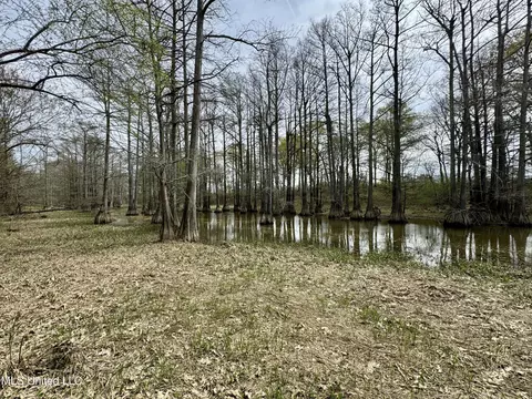 Drew Ruleville Road, Ruleville, MS 38771 photo 12