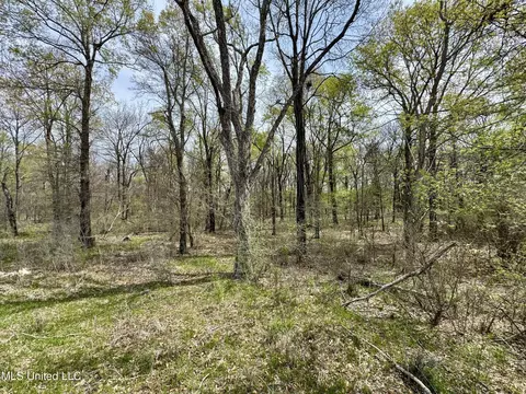 Drew Ruleville Road, Ruleville, MS 38771 photo 24