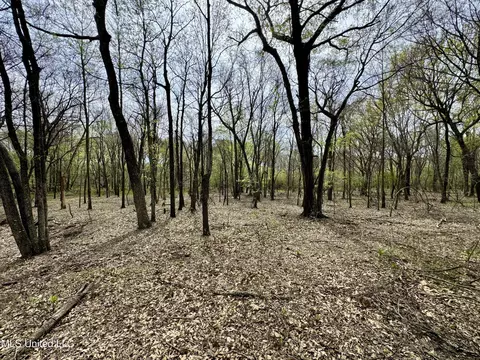 Drew Ruleville Road, Ruleville, MS 38771 photo 4