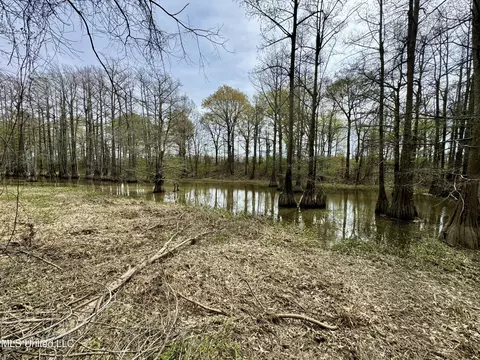 Drew Ruleville Road, Ruleville, MS 38771 photo 11