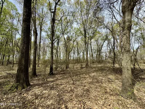 Drew Ruleville Road, Ruleville, MS 38771 photo 22