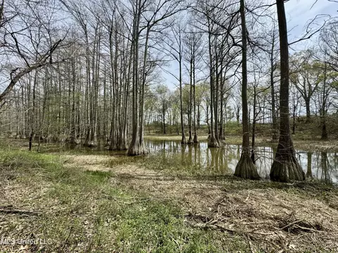 Drew Ruleville Road, Ruleville, MS 38771 photo 21