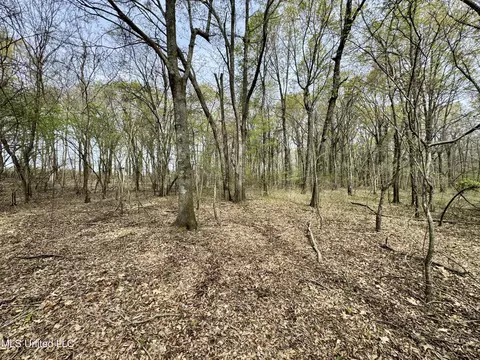 Drew Ruleville Road, Ruleville, MS 38771 photo 16