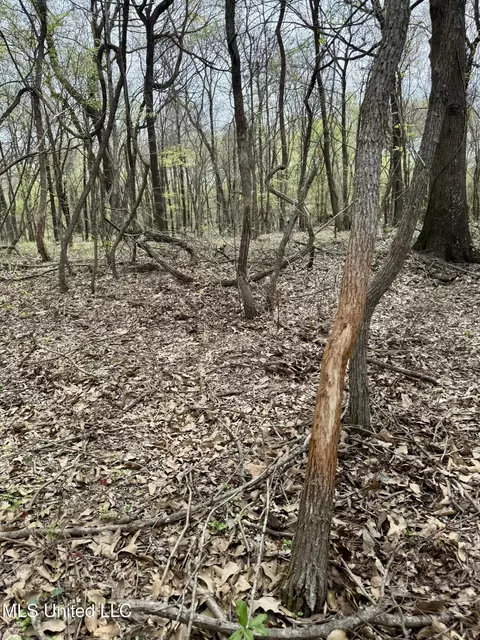 Drew Ruleville Road, Ruleville, MS 38771