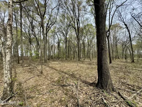 Drew Ruleville Road, Ruleville, MS 38771 photo 17