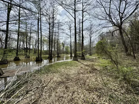 Drew Ruleville Road, Ruleville, MS 38771 photo 25