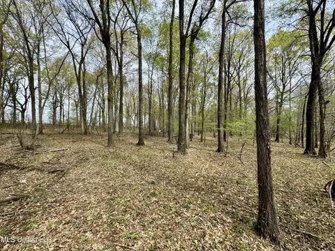 Drew Ruleville Road, Ruleville, MS 38771 photo 10
