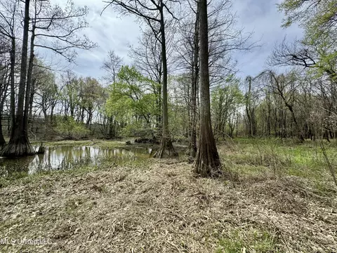 Drew Ruleville Road, Ruleville, MS 38771 photo 9