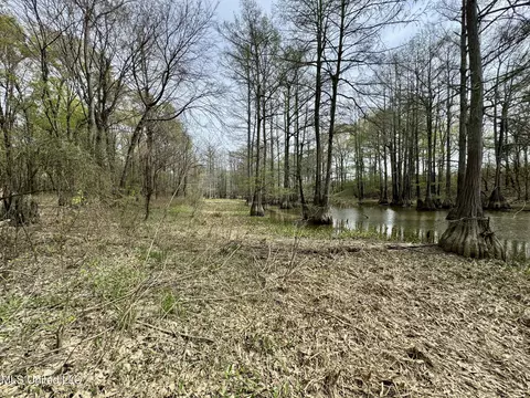 Drew Ruleville Road, Ruleville, MS 38771 photo 8