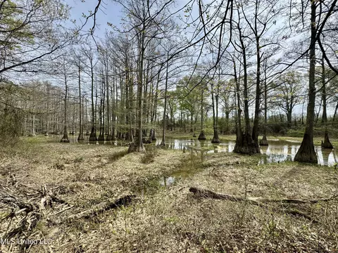Drew Ruleville Road, Ruleville, MS 38771 photo 15