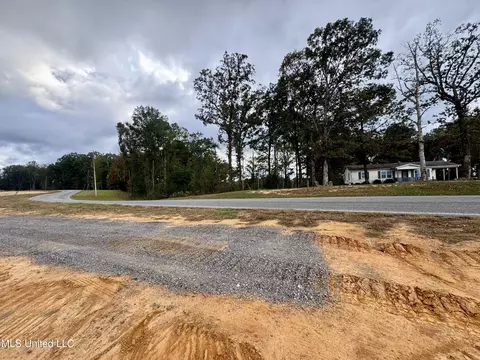 Wire Road, Pelahatchie, MS 39145 photo 8