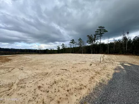 Wire Road, Pelahatchie, MS 39145 photo 9