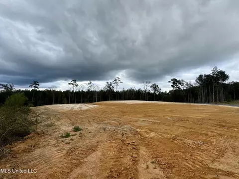 Wire Road, Pelahatchie, MS 39145 photo 7