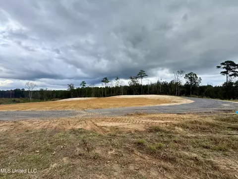 Wire Road, Pelahatchie, MS 39145 photo 2