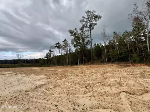 Wire Road, Pelahatchie, MS 39145 photo 10