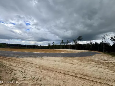 Wire Road, Pelahatchie, MS 39145 photo 4