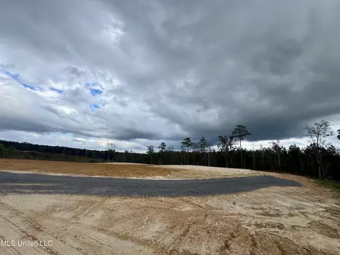 Wire Road, Pelahatchie, MS 39145 photo 5