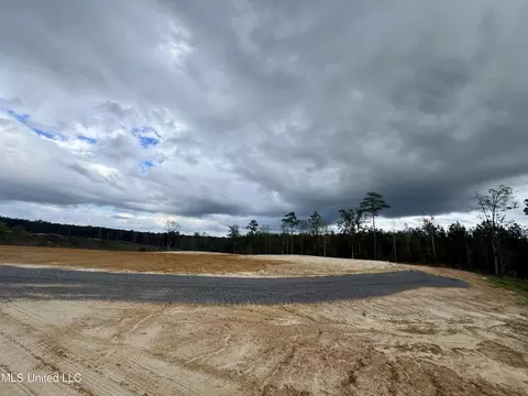 Wire Road, Pelahatchie, MS 39145 photo 6