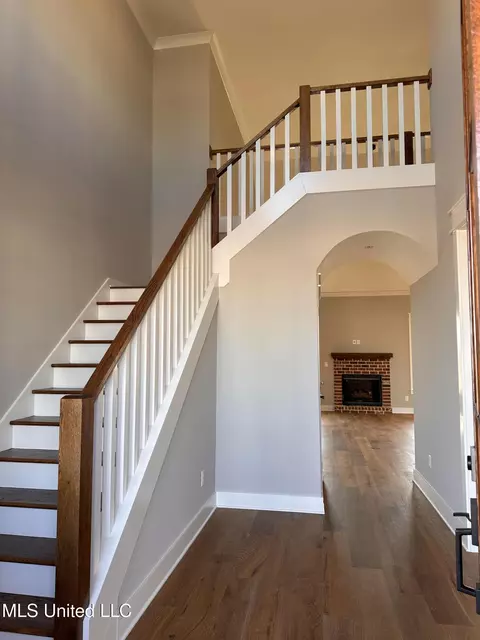 4223 Adriane Cv, Nesbit, MS 38651 photo 5