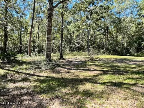 Other - 30 S Walker Rd, Perkinston, MS 39573 photo 5 of 5