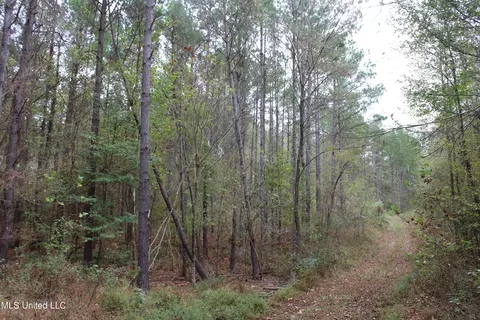 1400 Highway 35, Holcomb, MS 38940 photo 16