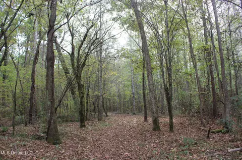 1400 Highway 35, Holcomb, MS 38940 photo 41