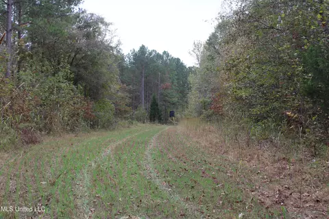 1400 Highway 35, Holcomb, MS 38940 photo 18