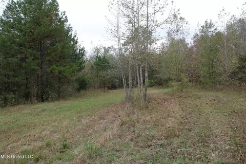1400 Highway 35, Holcomb, MS 38940 photo 43