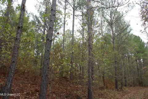 1400 Highway 35, Holcomb, MS 38940 photo 11