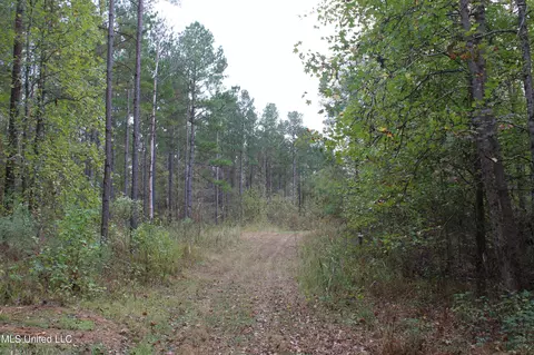 1400 Highway 35, Holcomb, MS 38940 photo 39