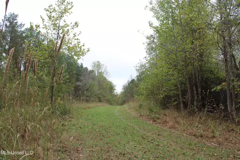 1400 Highway 35, Holcomb, MS 38940 photo 21