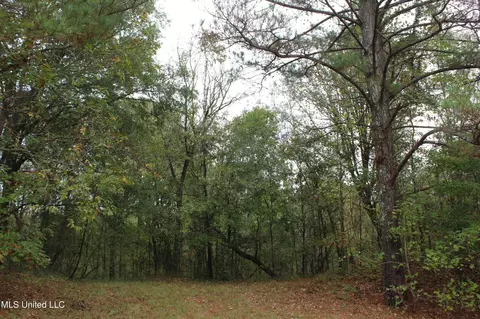 1400 Highway 35, Holcomb, MS 38940 photo 44