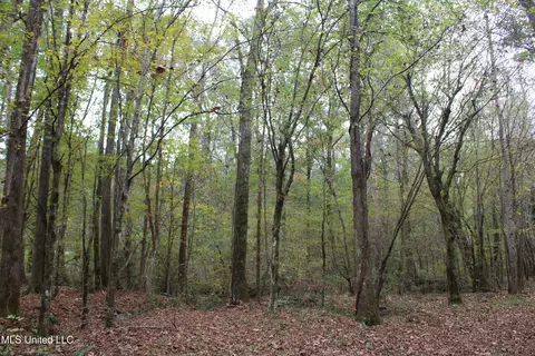 1400 Highway 35, Holcomb, MS 38940 photo 23