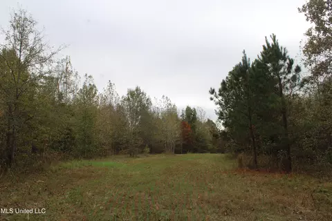 1400 Highway 35, Holcomb, MS 38940 photo 31