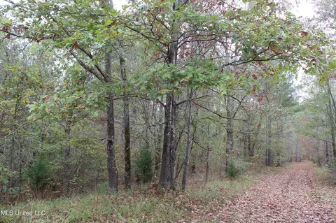 1400 Highway 35, Holcomb, MS 38940 photo 34