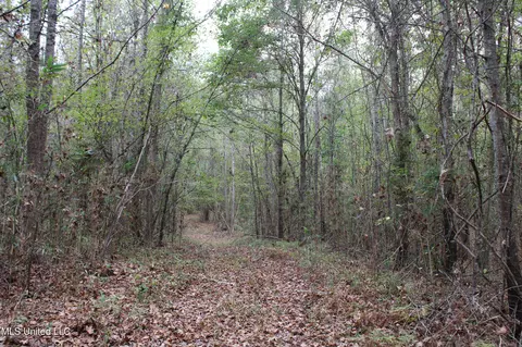 1400 Highway 35, Holcomb, MS 38940 photo 40