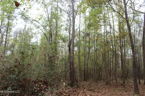 1400 Highway 35, Holcomb, MS 38940 photo 26