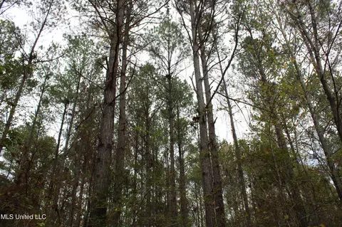 1400 Highway 35, Holcomb, MS 38940 photo 35