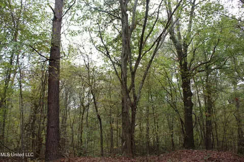 1400 Highway 35, Holcomb, MS 38940 photo 7