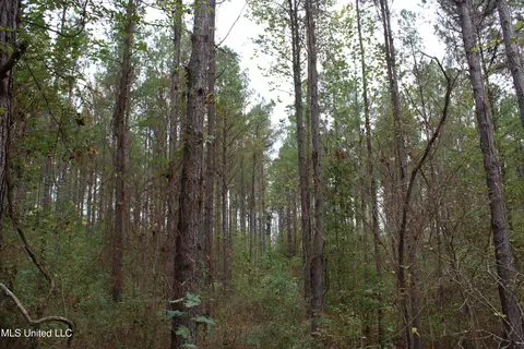 1400 Highway 35, Holcomb, MS 38940 photo 14