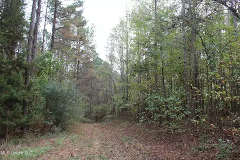 1400 Highway 35, Holcomb, MS 38940 photo 38