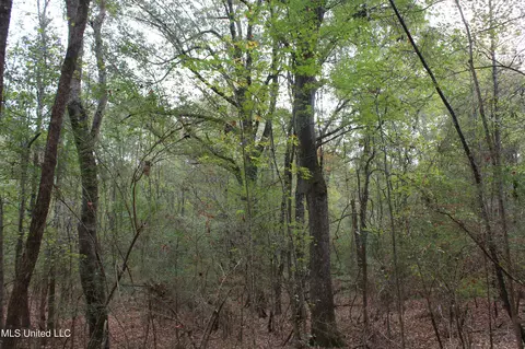 1400 Highway 35, Holcomb, MS 38940 photo 45