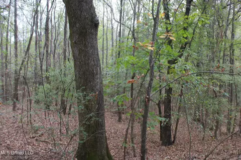 1400 Highway 35, Holcomb, MS 38940 photo 32
