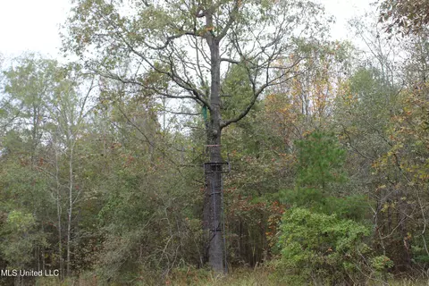 1400 Highway 35, Holcomb, MS 38940 photo 30