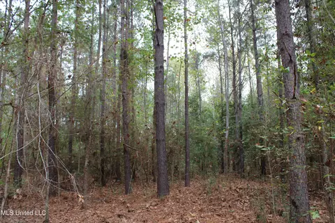 1400 Highway 35, Holcomb, MS 38940 photo 15