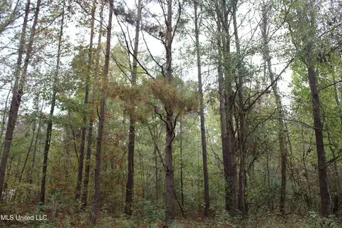 1400 Highway 35, Holcomb, MS 38940 photo 6